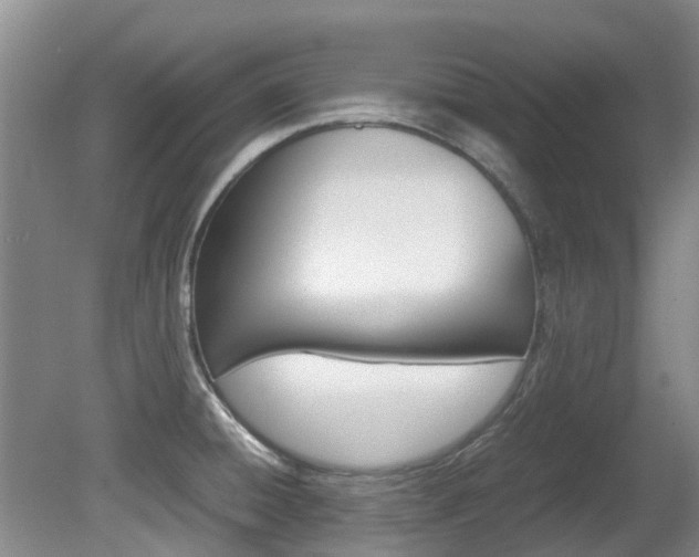 X0000081571428200701151014