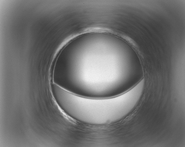 X0000081571430200701151014