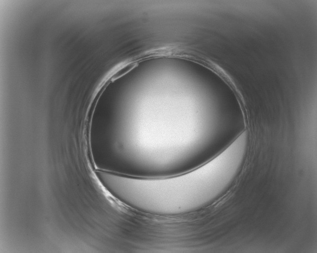 X0000081571434200701151014