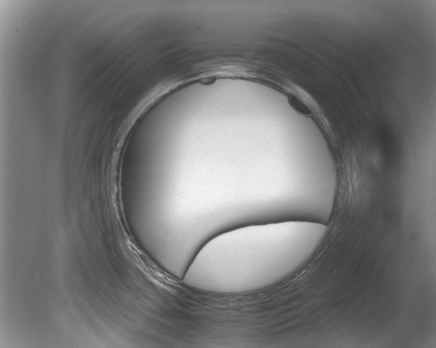 X0000081571435200701151014