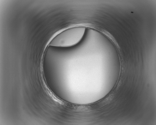 X0000081571436200701151014