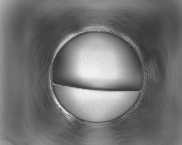 X0000081571440200701151014