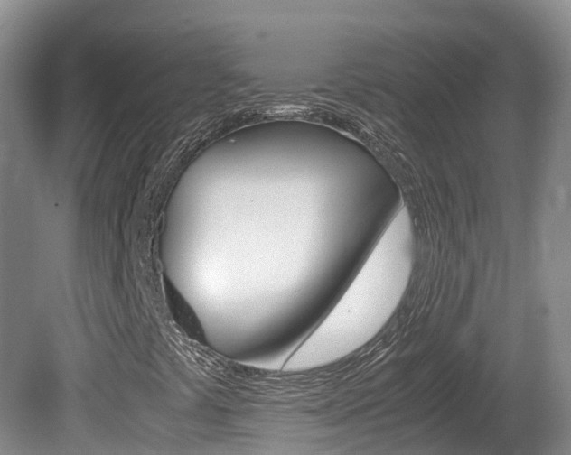 X0000081571441200701151013