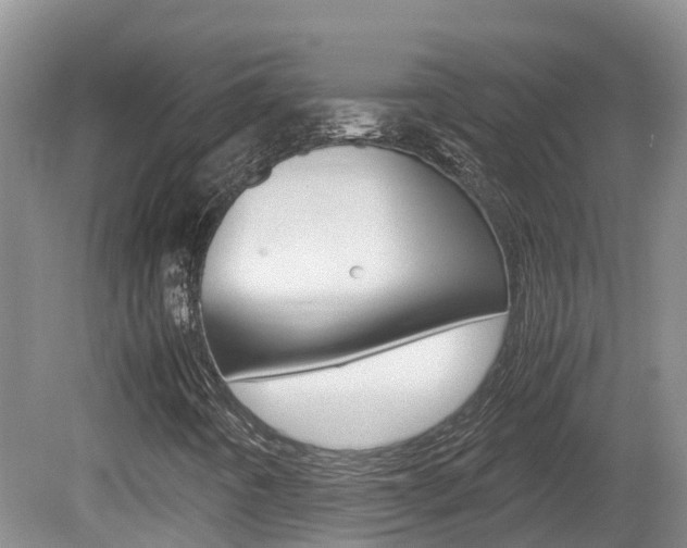 X0000081571442200701151013