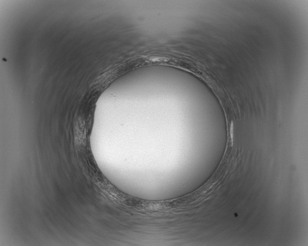 X0000081571443200701151013