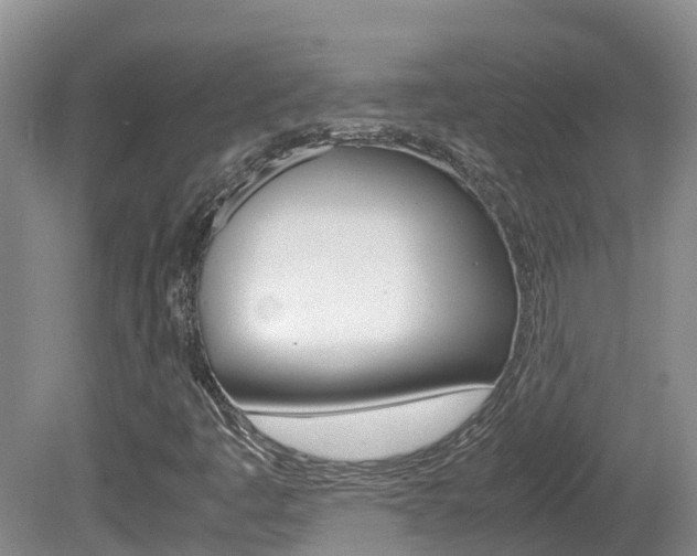 X0000081571445200701151013