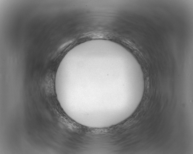X0000081571446200701151013