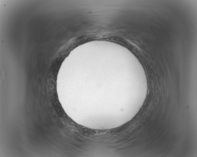 X0000081571447200701151013