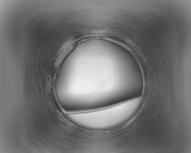 X0000081571449200701151013