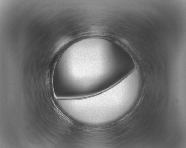 X0000081571450200701151013