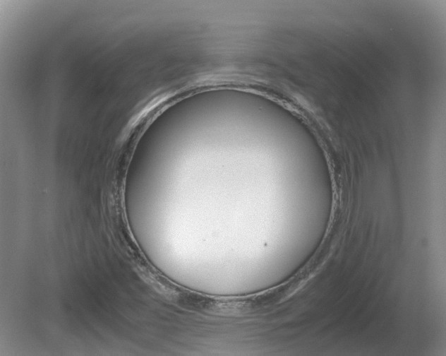 X0000081571453200701151013