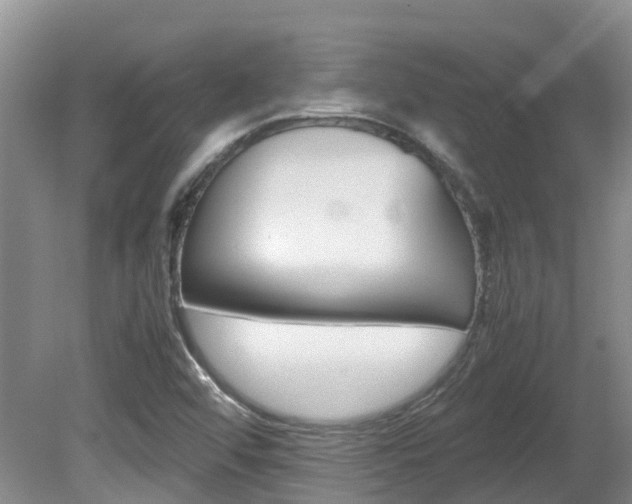 X0000081571456200701151013