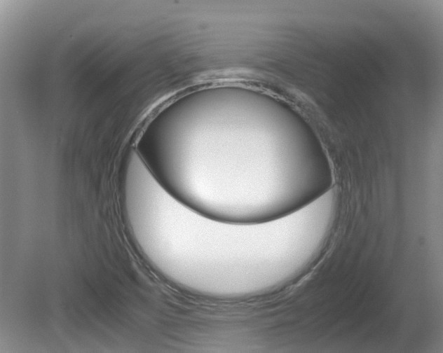 X0000081571457200701151013