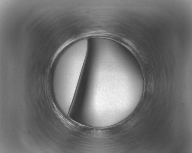 X0000081571458200701151013