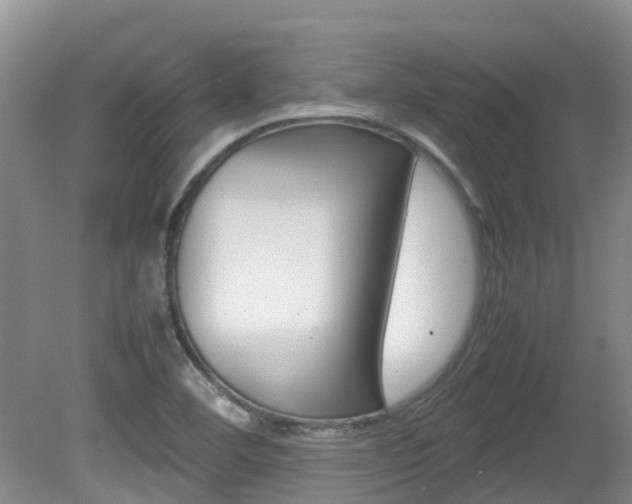 X0000081571460200701151013
