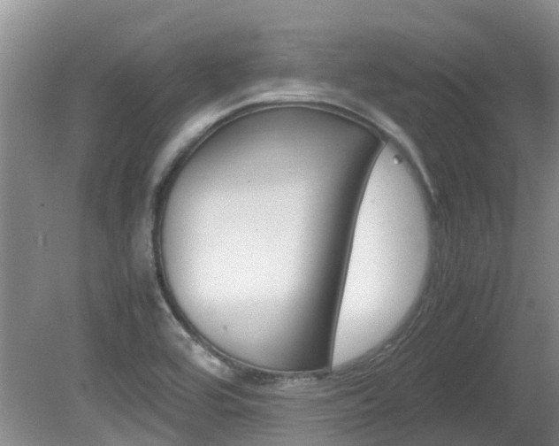 X0000081571464200701151013