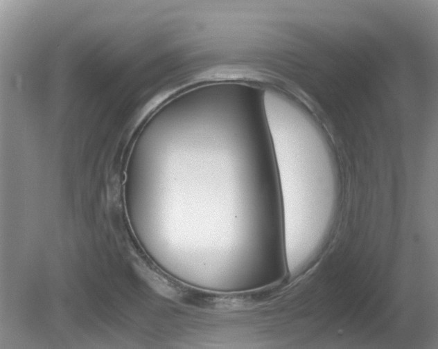 X0000081571465200701151013