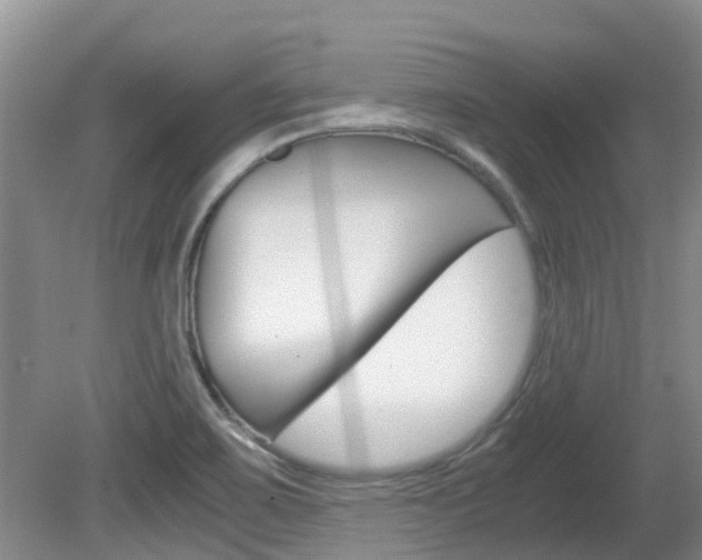 X0000081571467200701151013
