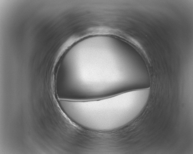 X0000081571472200701151013
