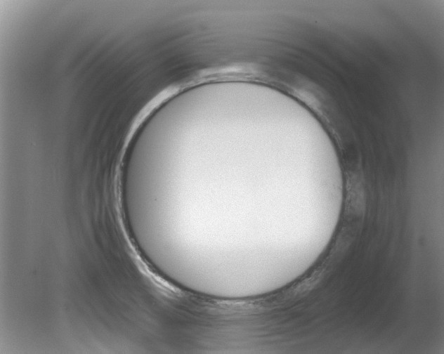 X0000081571474200701151013