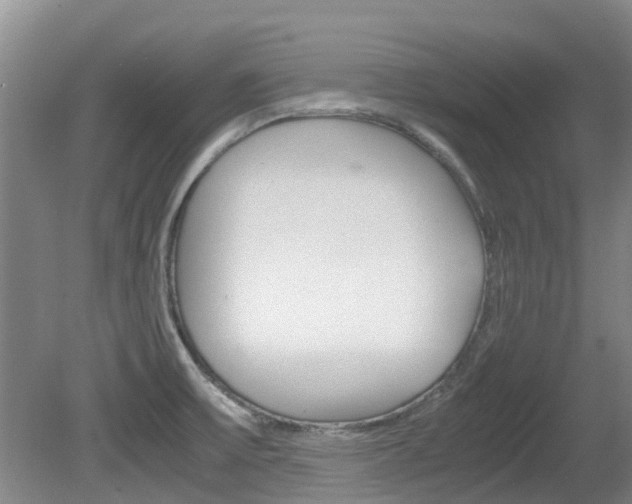 X0000081571475200701151013