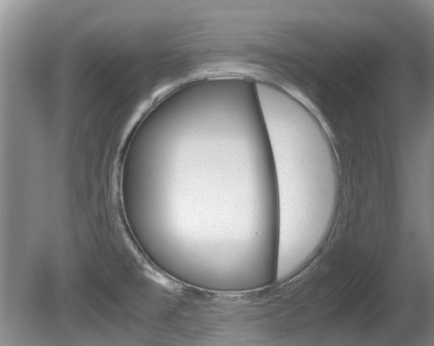 X0000081571477200701151013