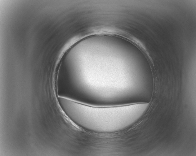 X0000081571480200701151013