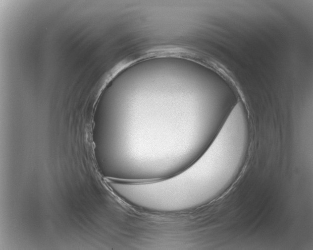 X0000081571481200701151013
