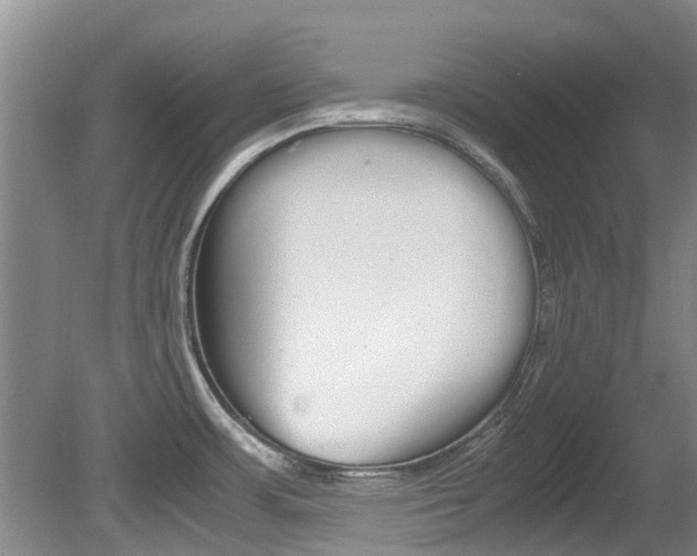 X0000081571483200701151013