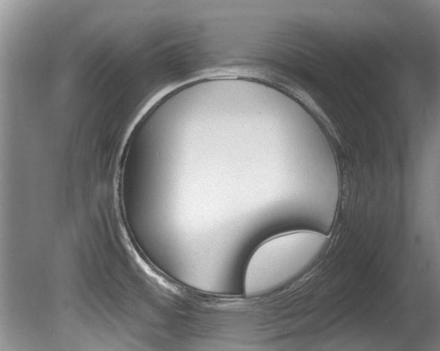 X0000081571484200701151013