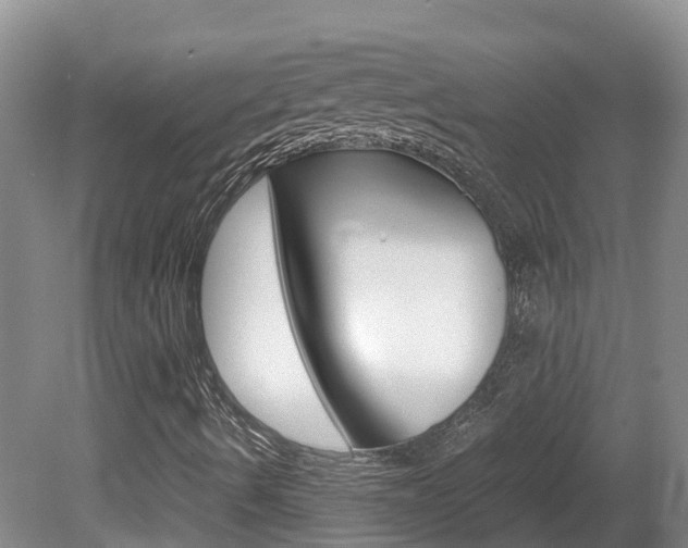 X0000081571490200701151012