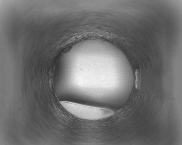 X0000081571491200701151012