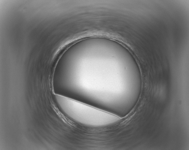 X0000081571499200701151012