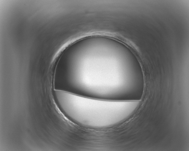 X0000081571504200701151012