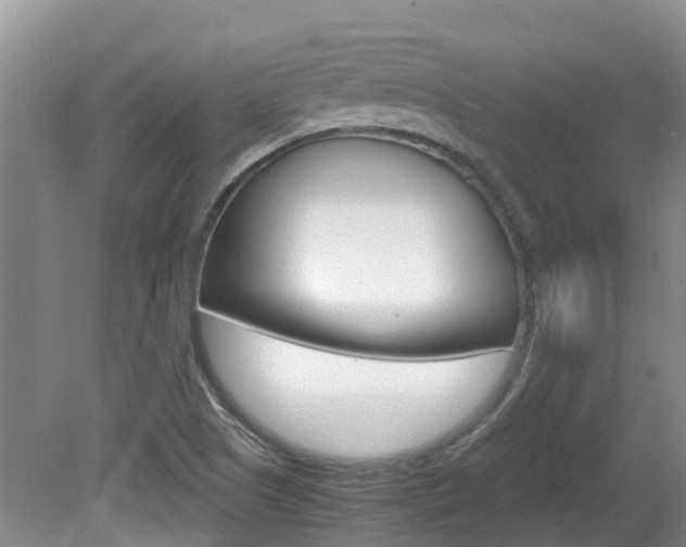X0000081571505200701151012