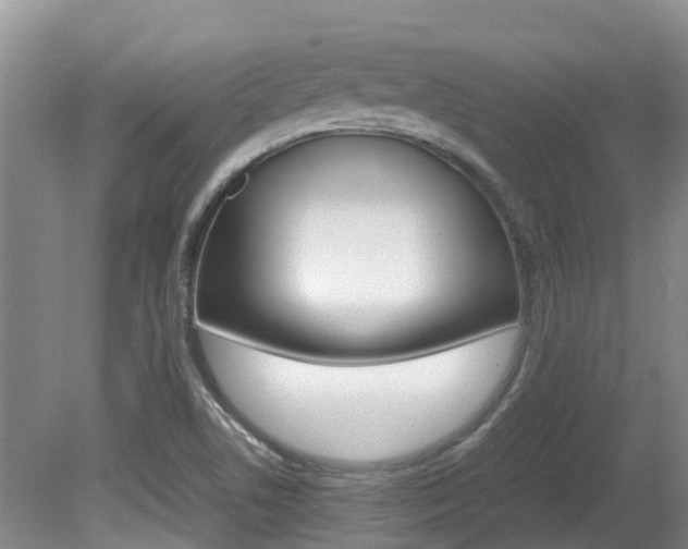 X0000081571506200701151012