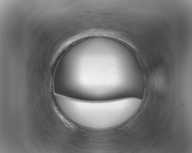 X0000081571507200701151012