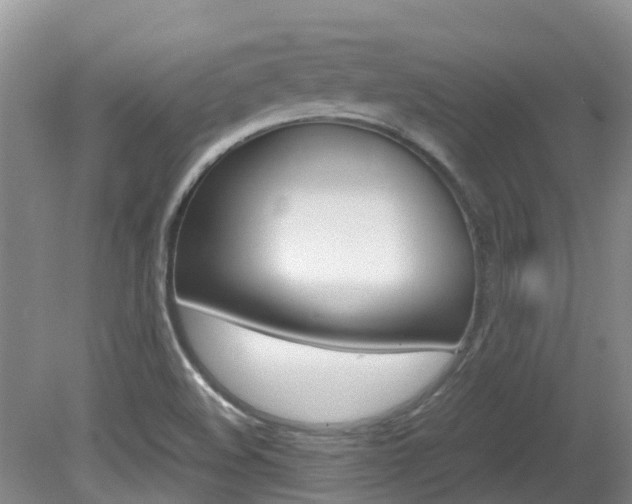 X0000081571508200701151012