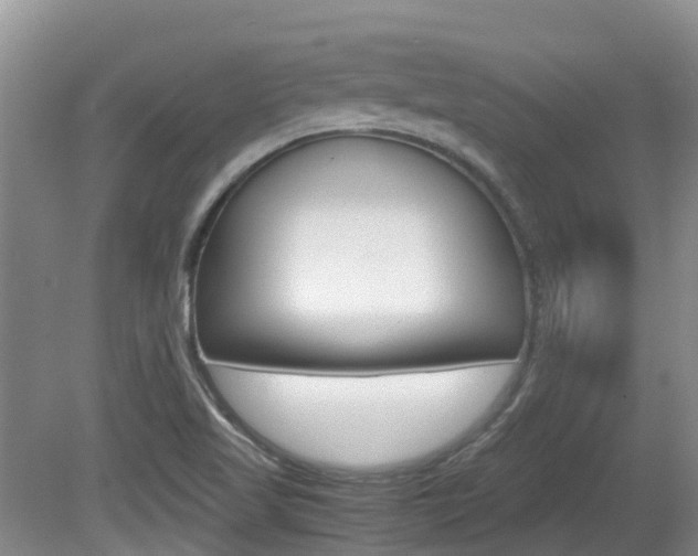 X0000081571509200701151012
