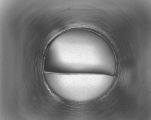 X0000081571513200701151012