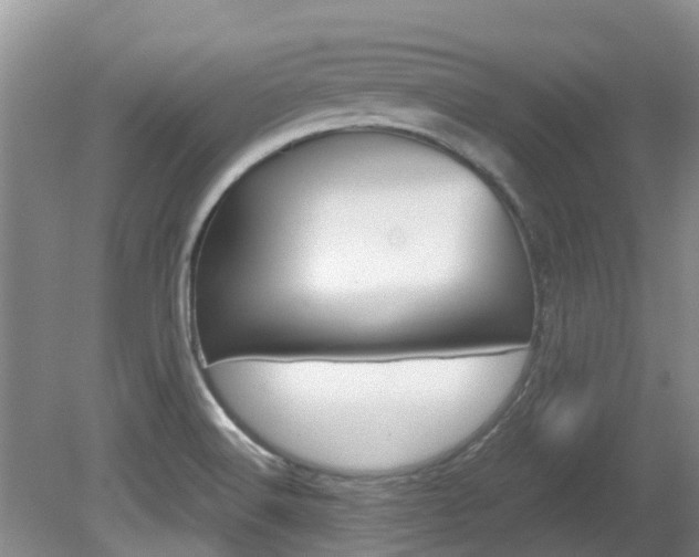 X0000081571516200701151012
