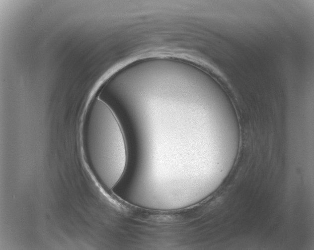 X0000081571517200701151012