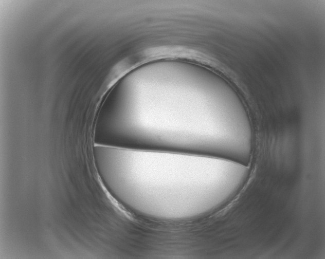 X0000081571521200701151012