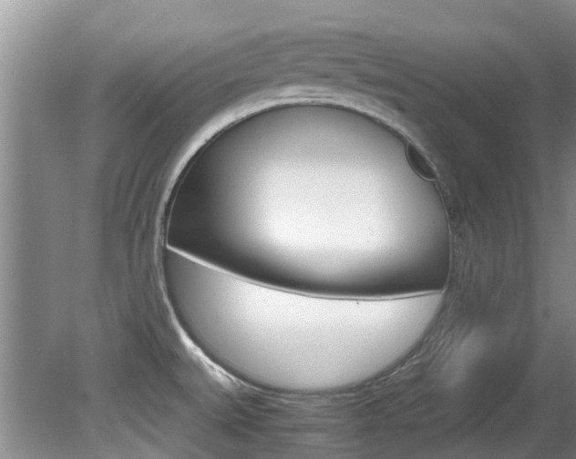 X0000081571527200701151012