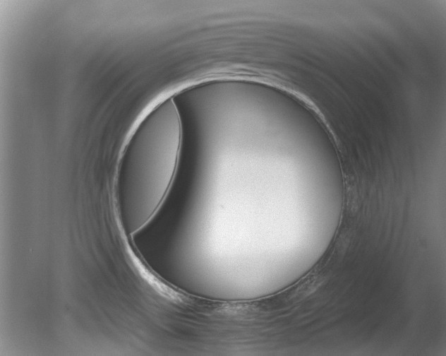X0000081571531200701151012
