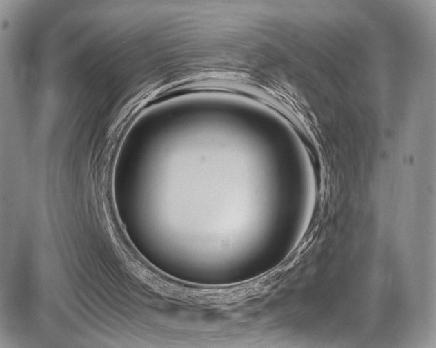 X0000081570001200701151224