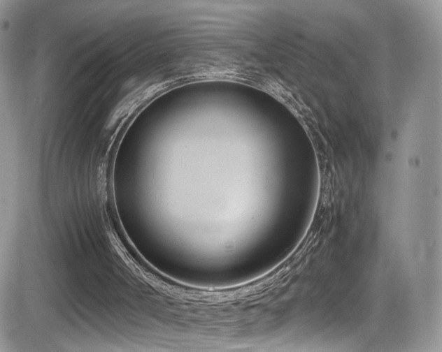X0000081570002200701151224