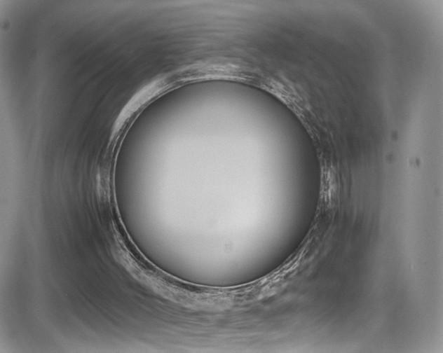 X0000081570004200701151223