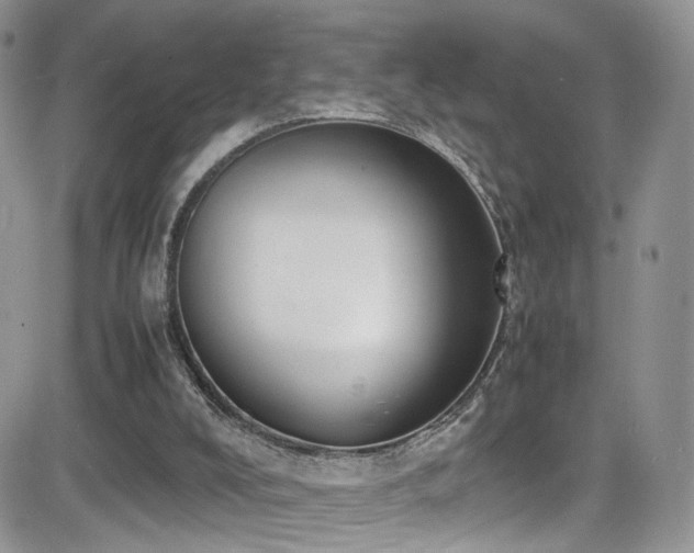 X0000081570008200701151223
