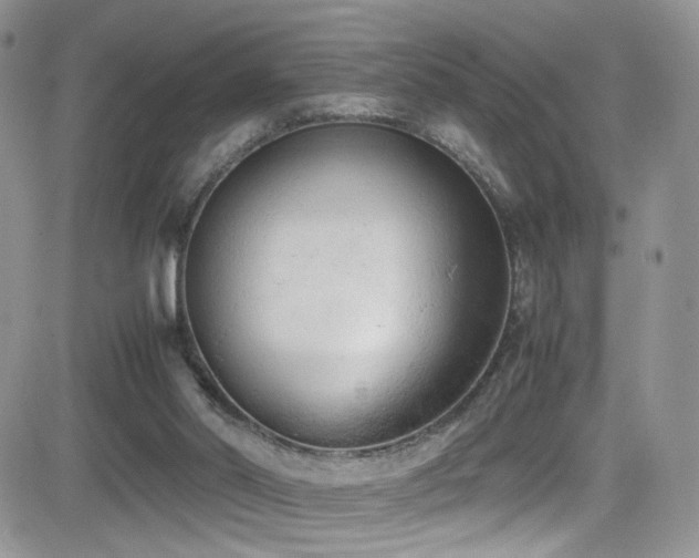 X0000081570014200701151223